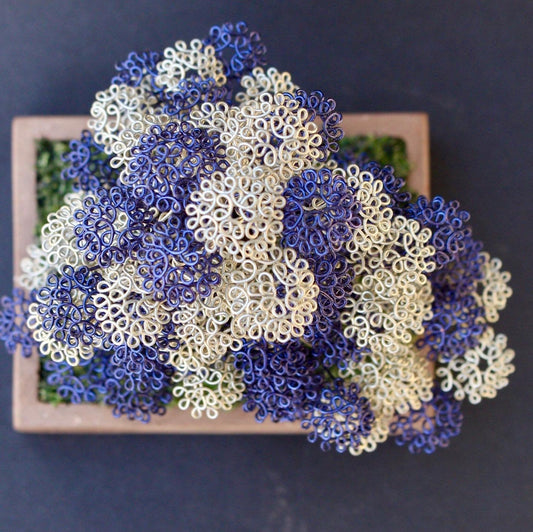 Chokkan Bonsai Blue/ Silver