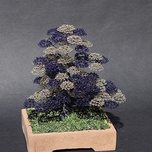 Chokkan Bonsai Blue/ Silver